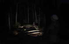 Through the Woods (2016)