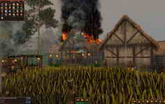 Life is Feudal: Forest Village (2016)