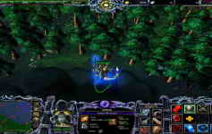 Warcraft 3 Frozen Throne /  3   (2002)